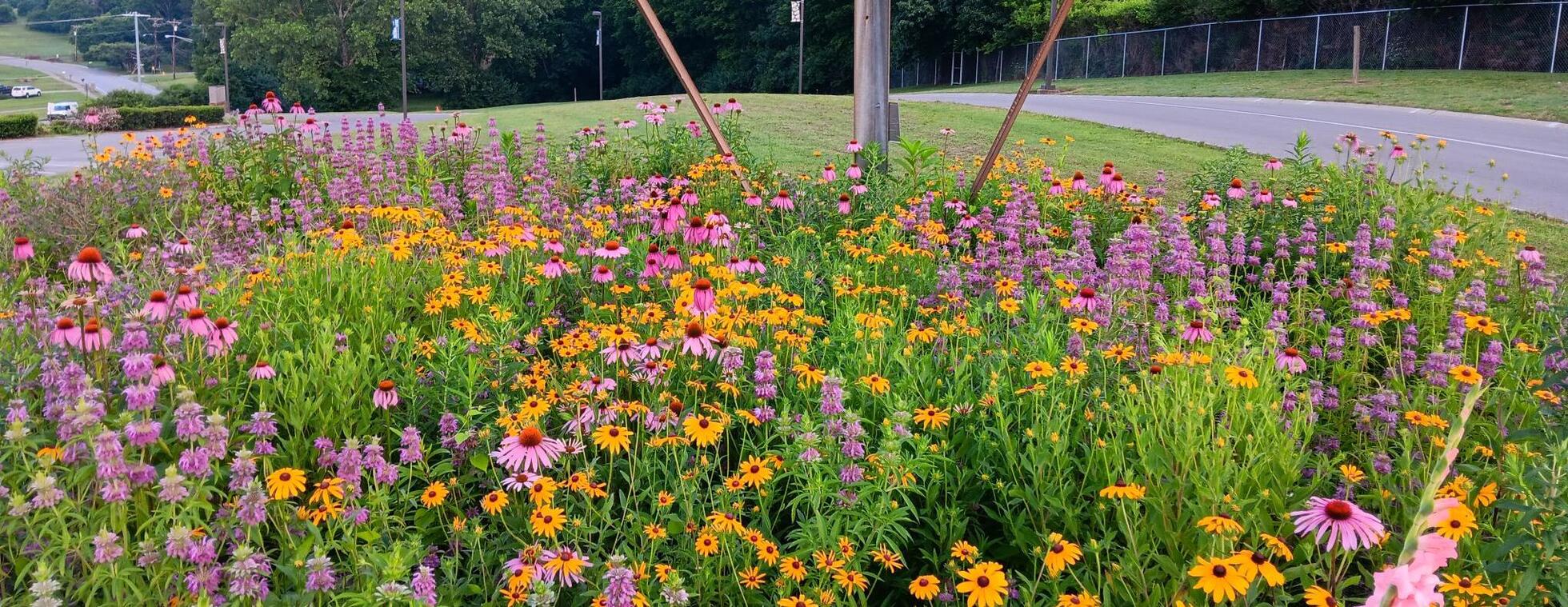 Pollinator Storefront