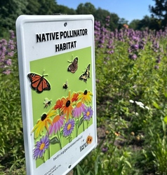 Native Pollinator Habitat Garden Sign (old design)